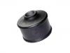 Suspension Bushing:MB111041