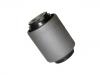 Suspension Bushing:55136-70N00