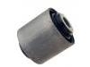 Suspension Bushing:55045-0W023