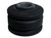 Control Arm Bushing:48849-60010