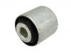 Suspension Bushing:54552-3M000